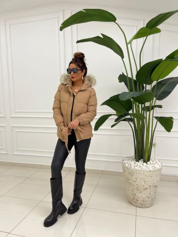 Winter Camel Mont